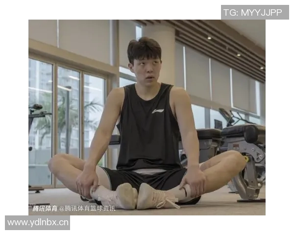 媒体人分析杨瀚森体能与动作速率现状表现属正常水平需加强训练