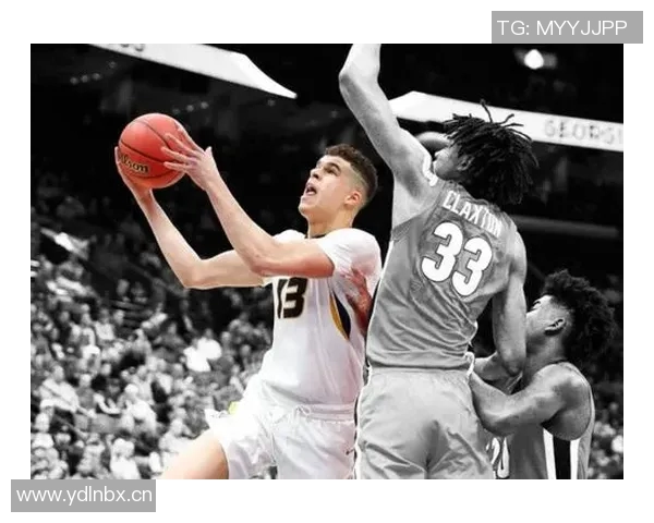 小波特谈纯素食与肉食NBA球员饮食选择的专业建议与平衡 小波特谈纯素食与肉食NBA球员饮食选择的专业建议与平衡