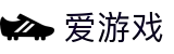 爱游戏(中国)ayx·官方网站-科技股份有限公司